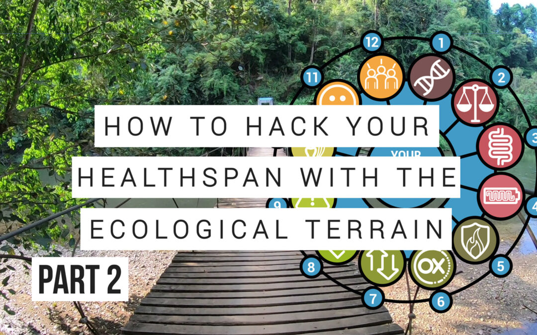 Hacking your lifespan via your Ecological Terrain – Part 2