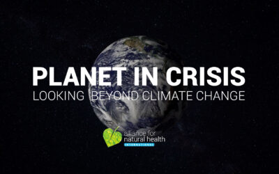 ANH Feature: Planet in crisis – looking beyond climate change