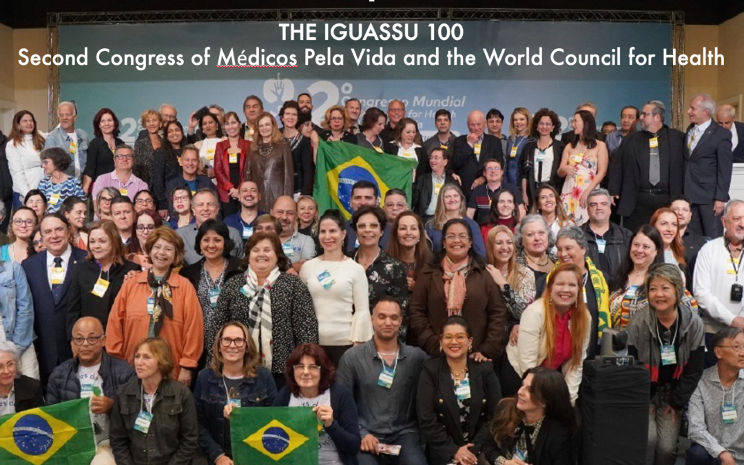 Congreso Mundial de Covid-19 - Cataratas del Iguazú, Brasil