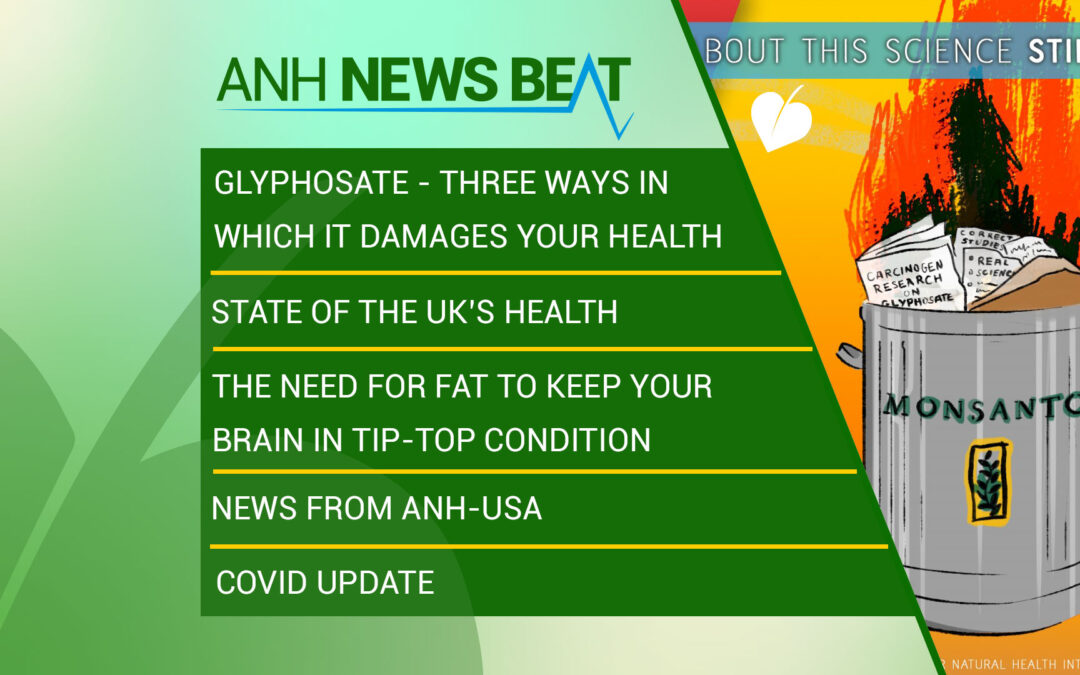 ANH News Beat (semana 30/2023)