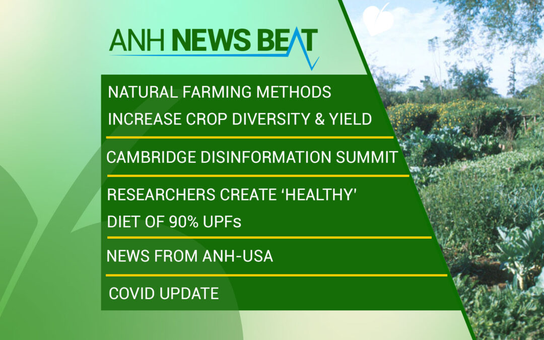 ANH News Beat (settimana 31/2023)