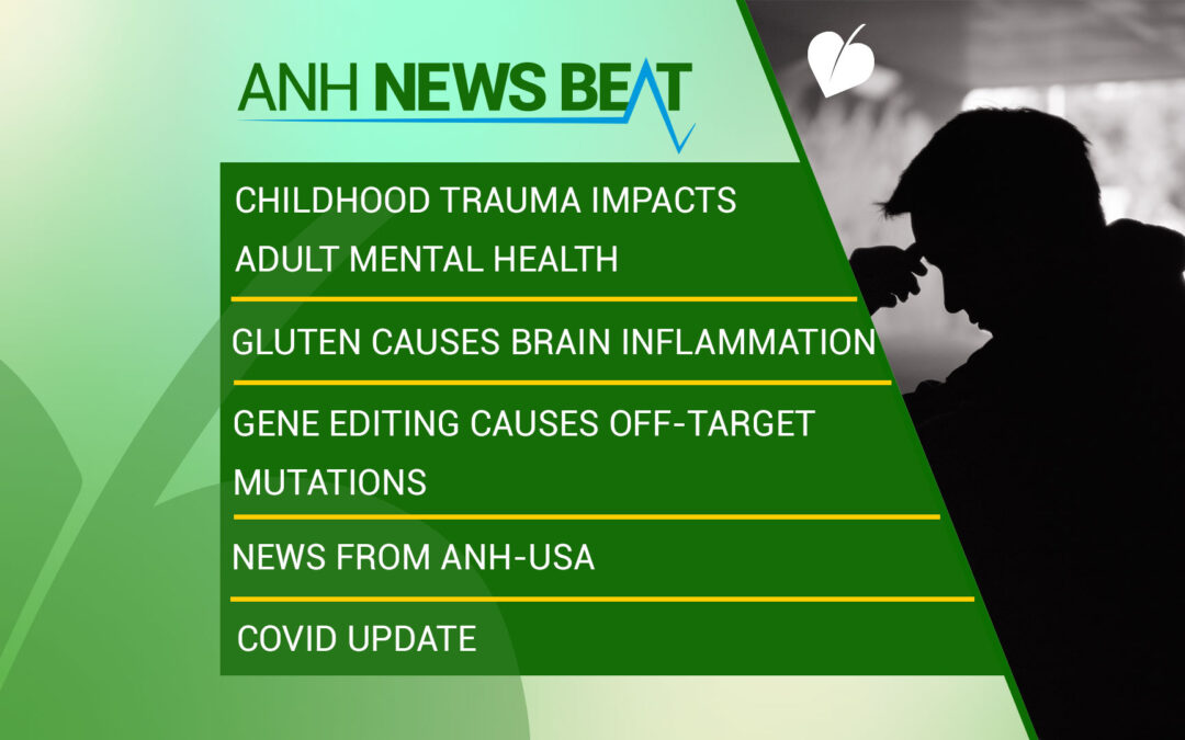 ANH News Beat (semaine 33/2023)