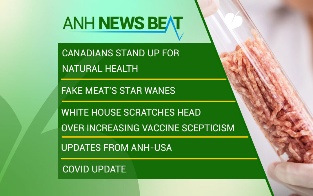 ANH News Beat (Woche 40/2023)