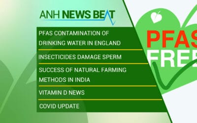 ANH News Beat (week 48/2023)