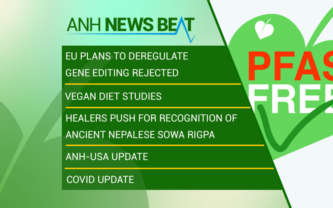 ANH News Beat (Woche 50/2023)