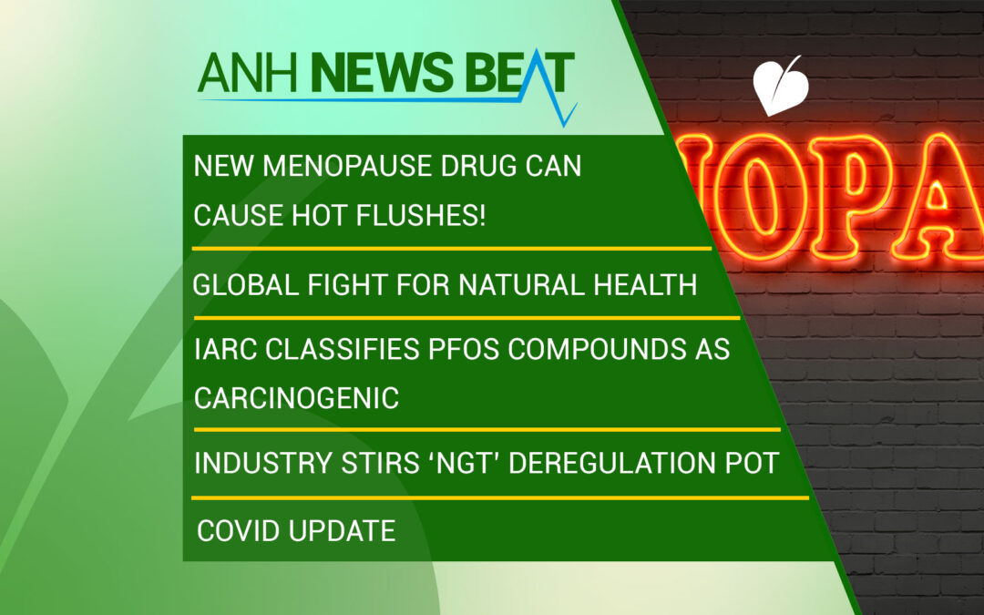 ANH News Beat (semana 51/2023)