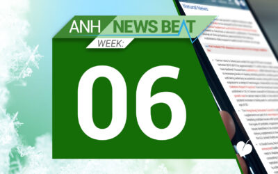 ANH News Beat (semana 06/2024)