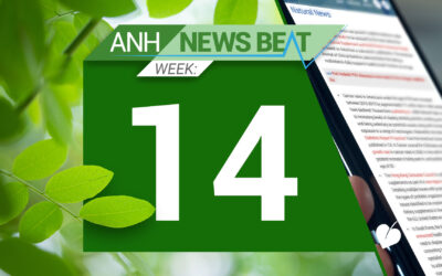 ANH News Beat (week 14/2024)