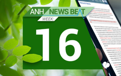 ANH News Beat (Woche 16/2024)