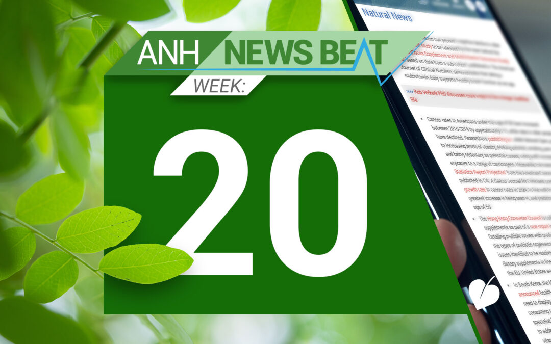 ANH News Beat (semaine 20/2024)