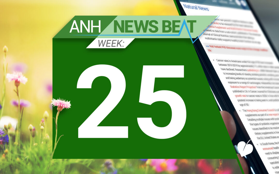 ANH News Beat (semaine 25/2024)