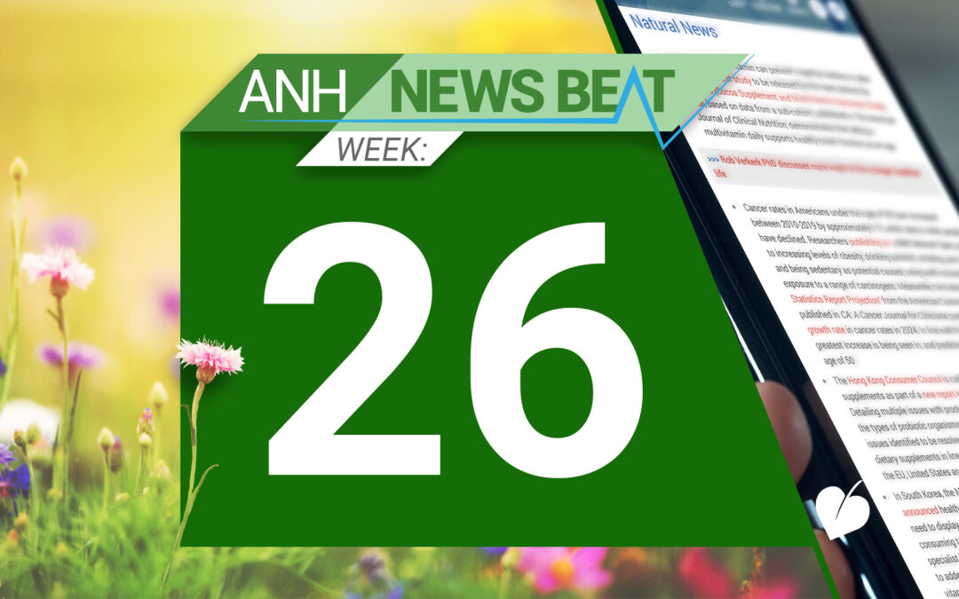 ANH News Beat (semaine 26/2024)