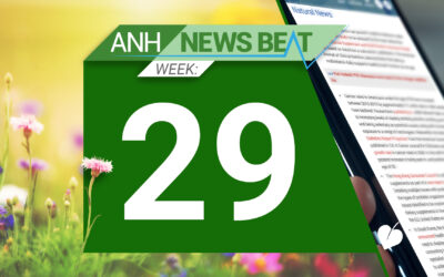 ANH News Beat (week 29/2024)