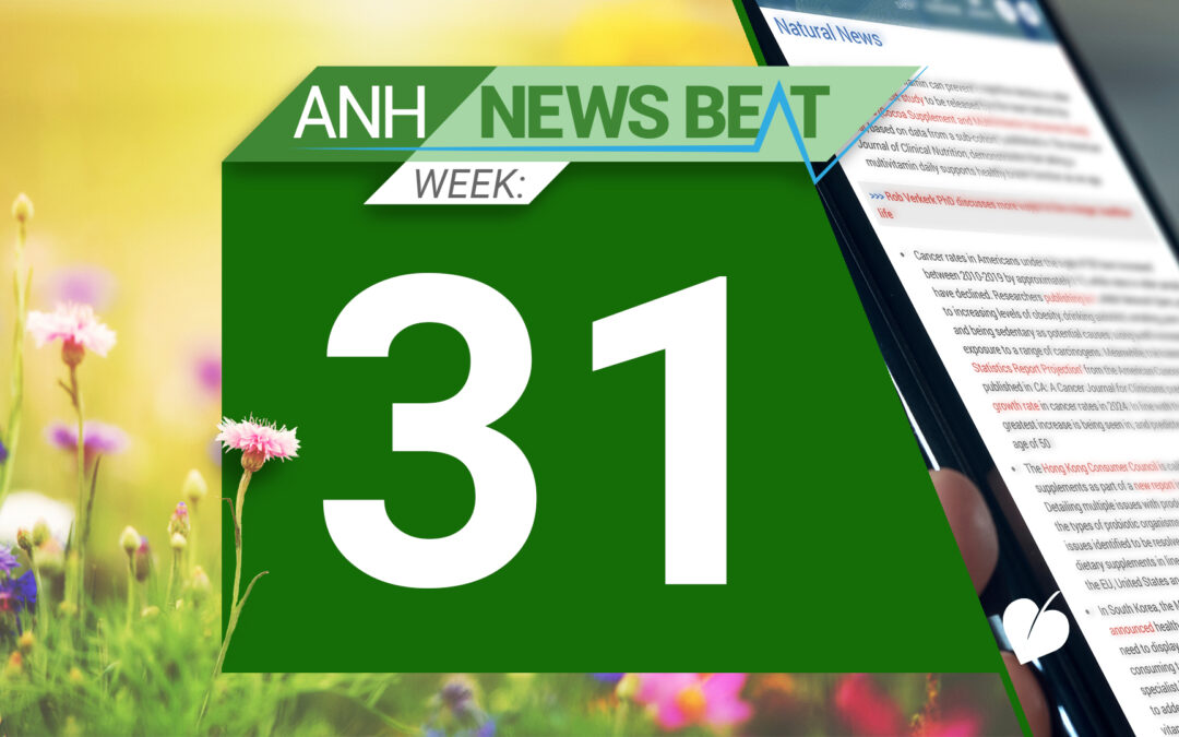 ANH News Beat (week 31/2024)