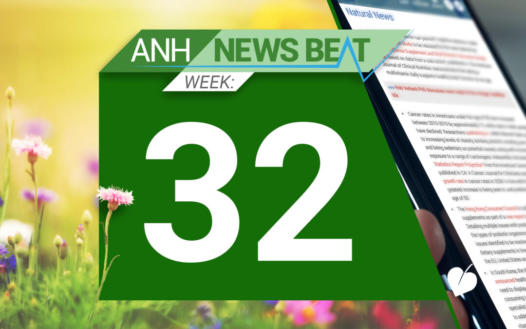 ANH News Beat (week 32/2024)