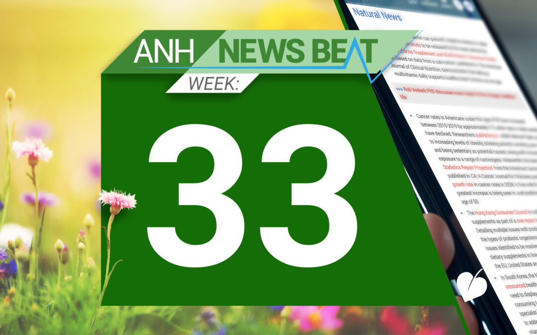 ANH News Beat (week 33/2024)