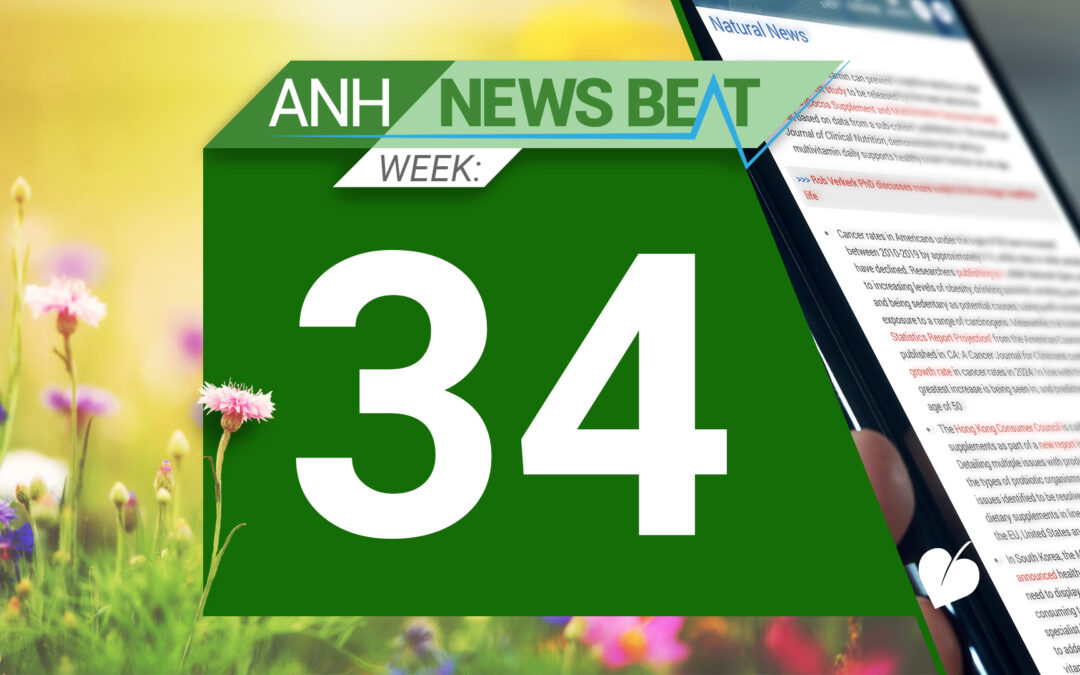 ANH News Beat (week 34/2024)