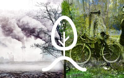 Sierpniowa Tolerancja na Tailoring 2024: Najbardziej niedoceniany lek?