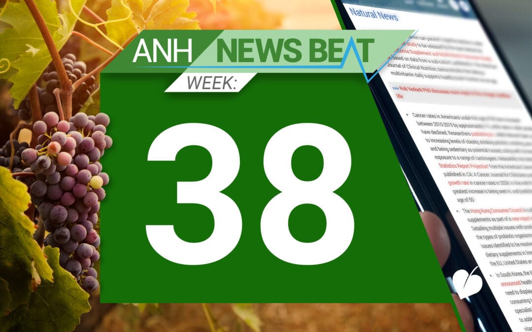 ANH News Beat (Woche 38/2024)