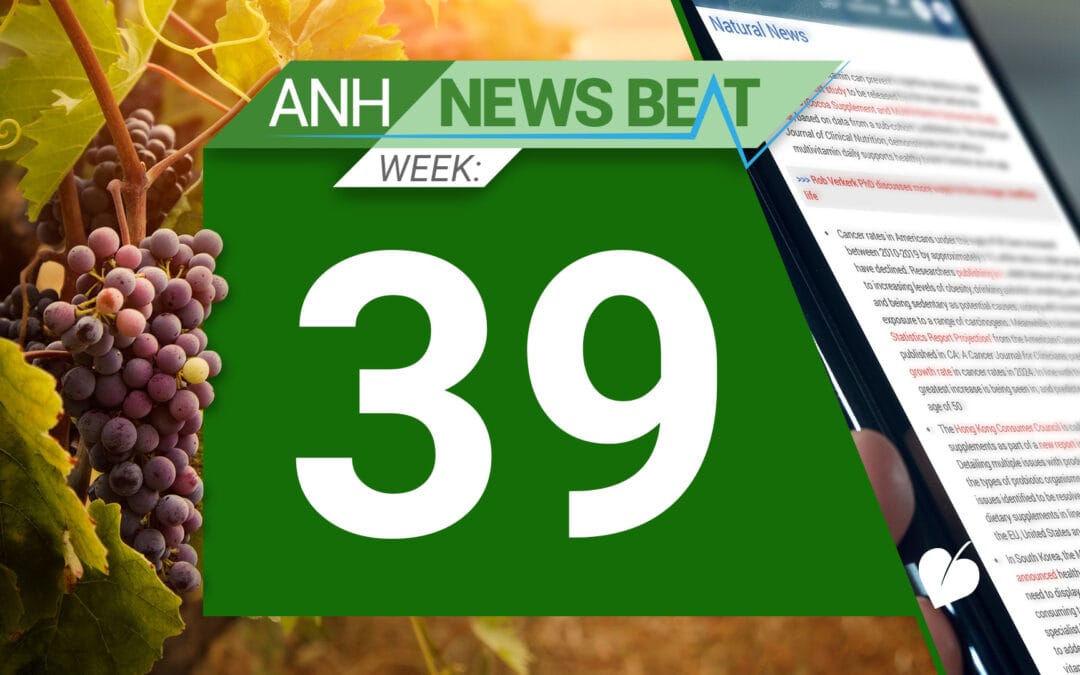 ANH News Beat (Woche 39/2024)