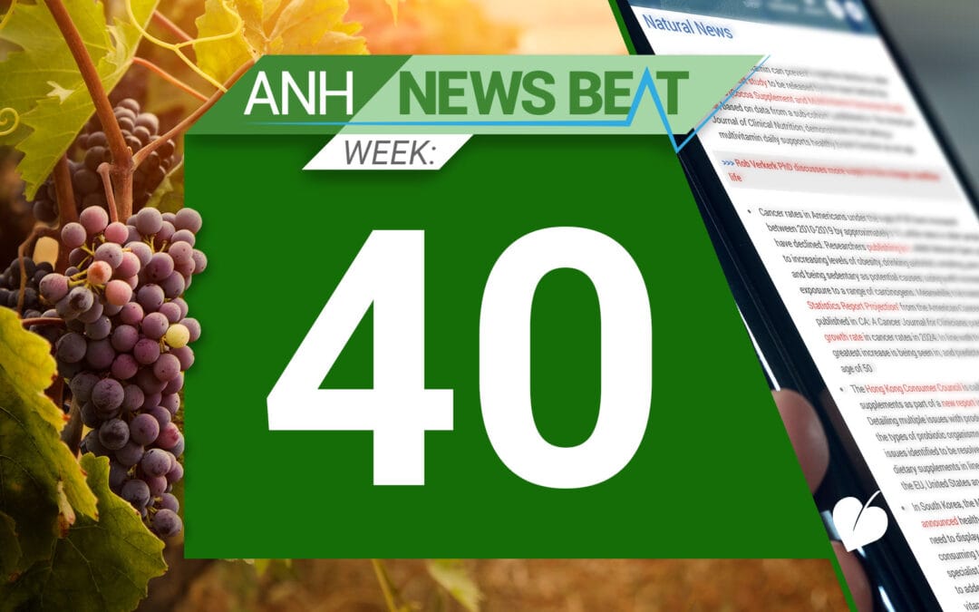 ANH News Beat (Woche 40/2024)
