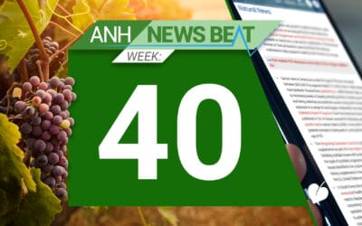 ANH News Beat (tydzień 40/2024)