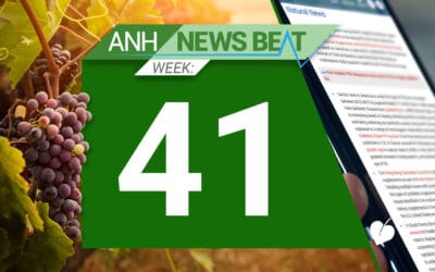 ANH News Beat (tydzień 41/2024)