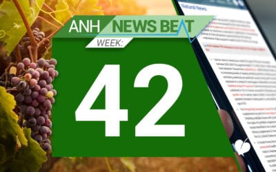 ANH News Beat (tydzień 42/2024)