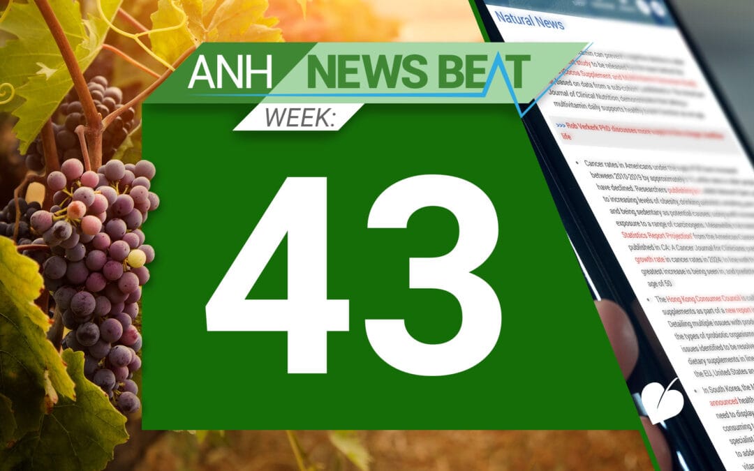 ANH News Beat (semana 43/2024)