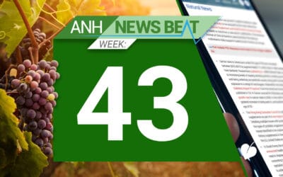 ANH News Beat (tydzień 43/2024)