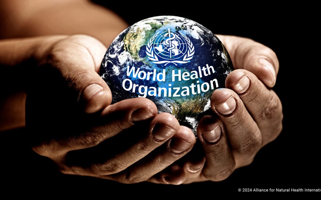 ¿La OMS dijo que la centralización es el camino hacia una mejor sanidad?