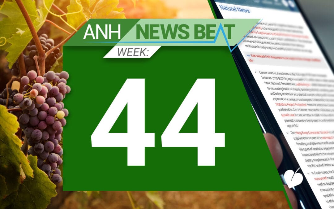 ANH News Beat (semana 44/2024)