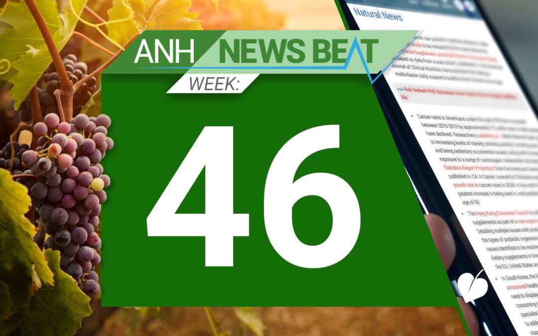 ANH News Beat (semana 46/2024)