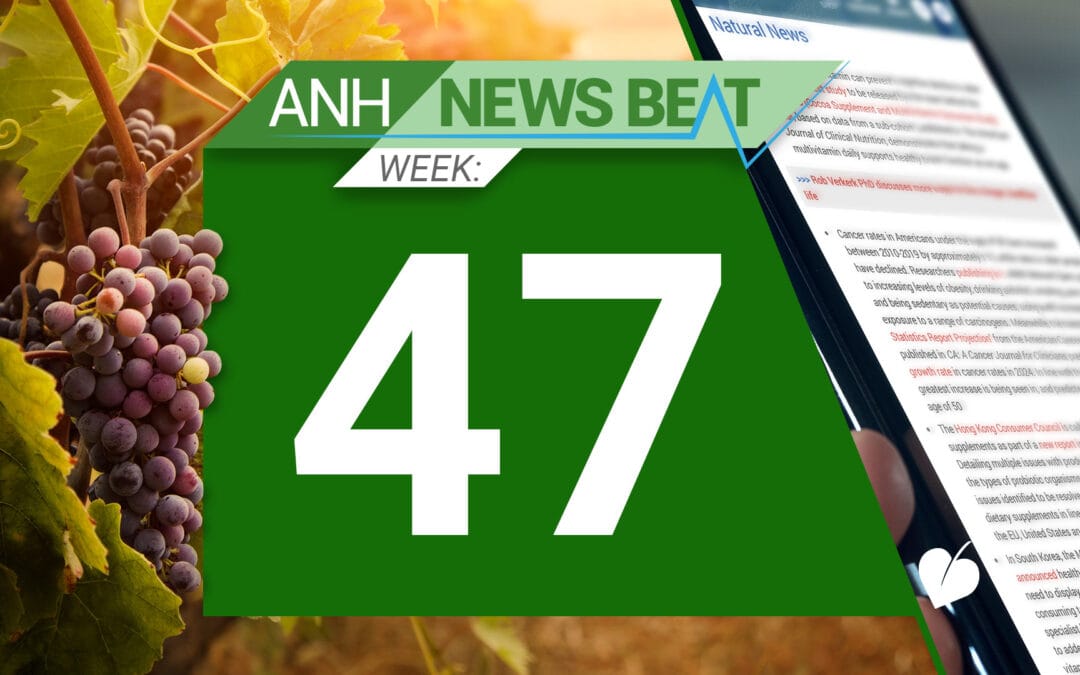 ANH News Beat (semana 47/2024)