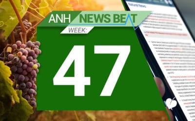 ANH News Beat (tydzień 47/2024)