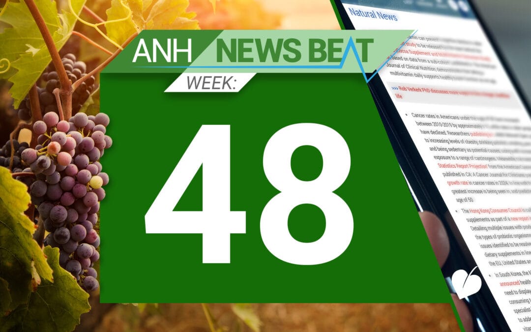 ANH News Beat (semana 48/2024)