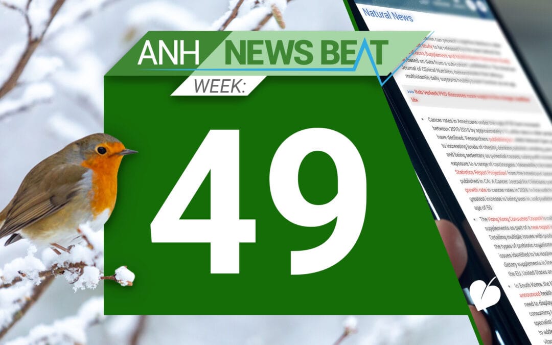 ANH News Beat (semana 49/2024)