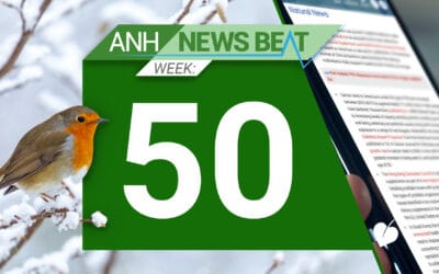 ANH News Beat (tydzień 50/2024)