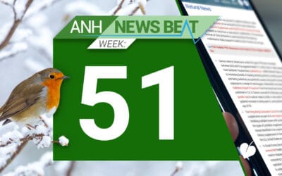 ANH News Beat (tydzień 51/2024)