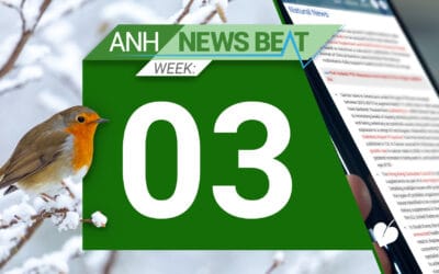 ANH News Beat (tydzień 03/2025)