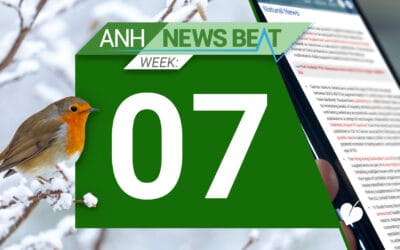 ANH News Beat (tydzień 07/2025)
