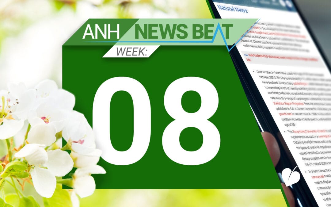 ANH News Beat (semana 08/2025)