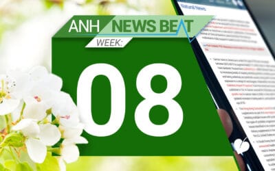 ANH News Beat (tydzień 08/2025)