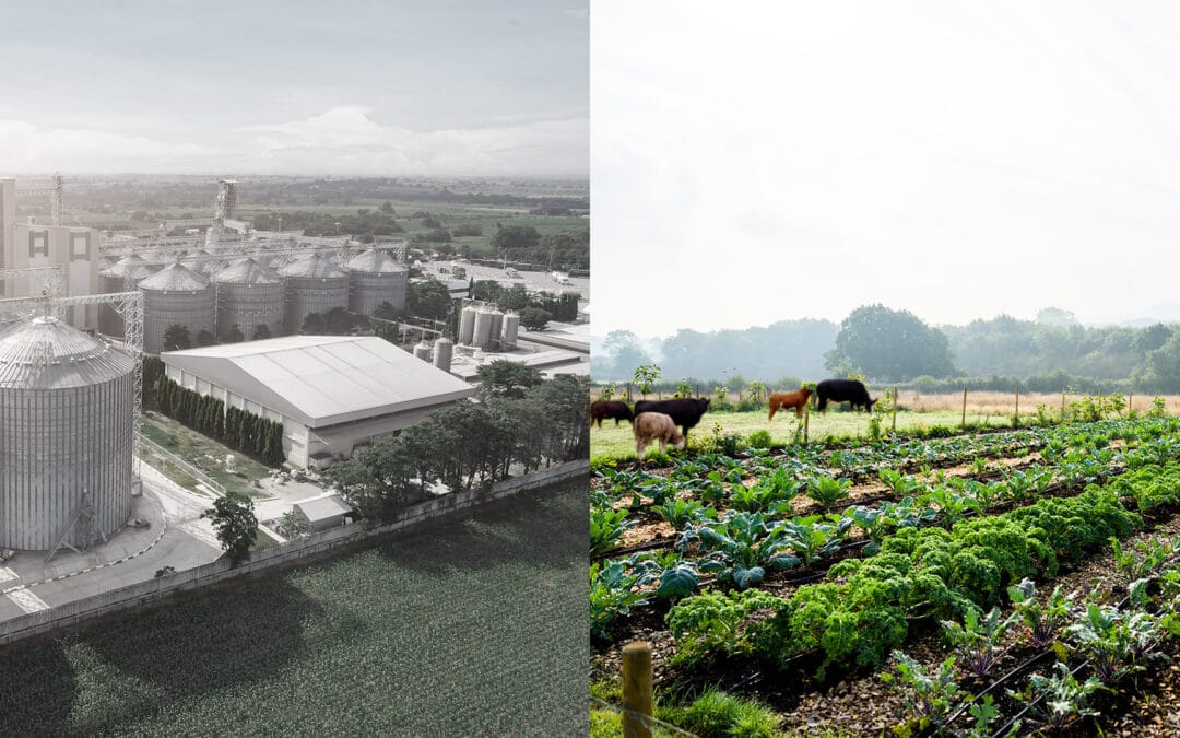 La batalla por la soberanía alimentaria se recrudece