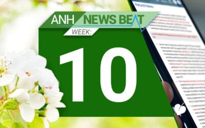 ANH News Beat (tydzień 10/2025)