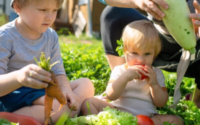 Artykuł gościnny: Czy ignorowanie odżywiania prowadzi dzieci do neurodywergencji?