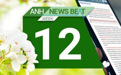 ANH News Beat (tydzień 12/2025)