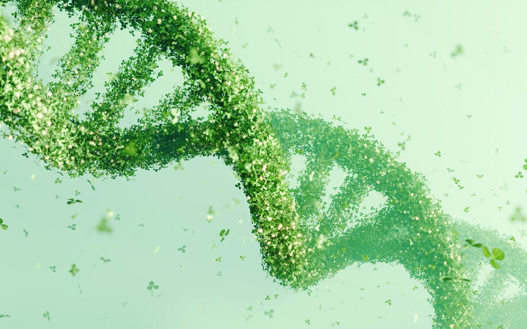 Bioingeniería y OMG 2.0: ¿preparado para tomar una decisión con conocimiento de causa?