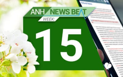 ANH News Beat (tydzień 15/2025)