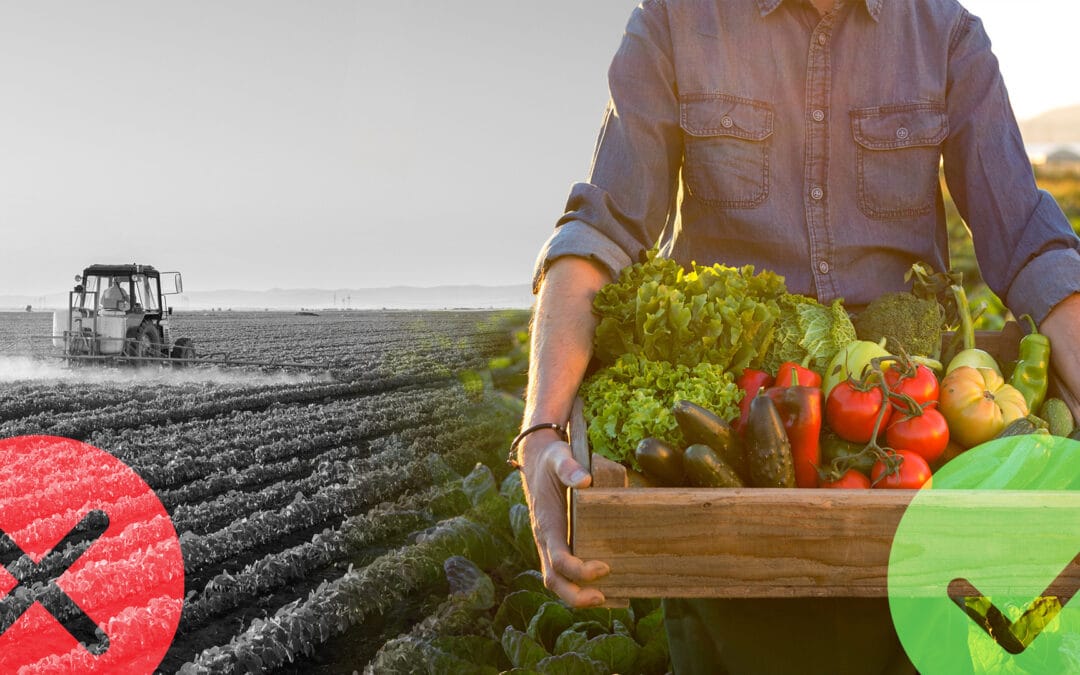 La Sexta Extinción Masiva: ¿Podrá sobrevivir a ella?